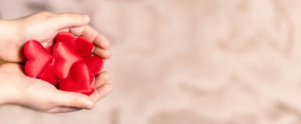 Hands Holding Red Hearts Health Love Organ Donation Mindfulness Well lizenzfreie Stockbilder