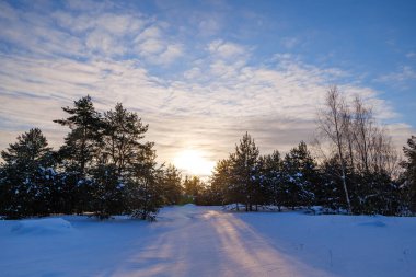 Gün batımında karla kaplı ormanlı kış manzarası