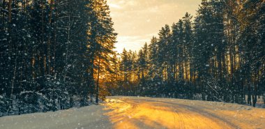 beautiful winter background with a snow-covered forest road