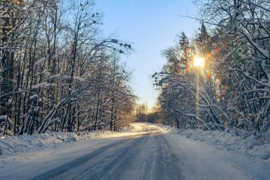 beautiful winter background with a snow-covered forest road