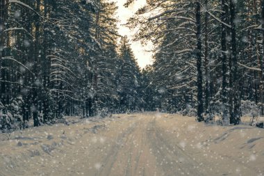 beautiful winter background with a snow-covered forest road