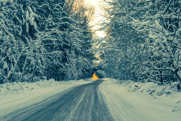 beautiful winter background with a snow-covered forest road