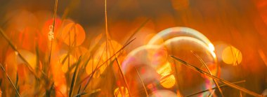 Çimlerde sabun köpükleri olan güzel soyut bahar arkaplanı