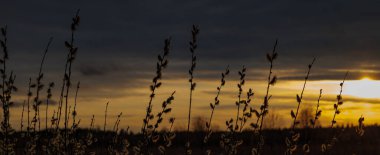 Parkta güzel bir günbatımı