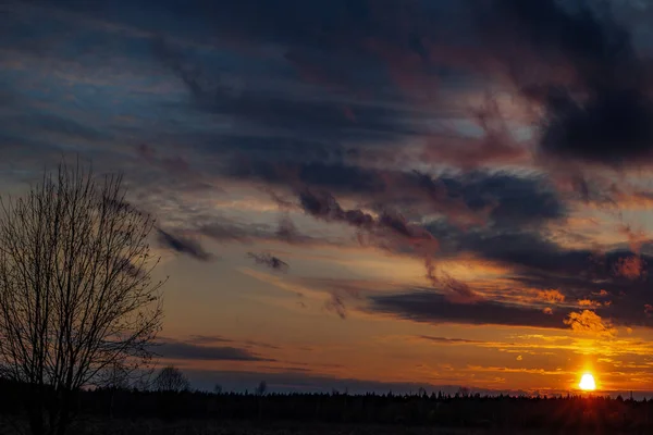 Schöner Sonnenuntergang Der Natur Park — Stockfoto