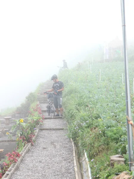 2021年3月23日 Magetan East Java Indoneisa 誰かが山の中をサイクリングしていて 朝は涼しい空気で霧の挨拶をしています — ストック写真