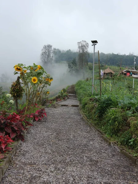 2021年3月23日 Magetan East Java Indoneisa 誰かが山の中をサイクリングしていて 朝は涼しい空気で霧の挨拶をしています — ストック写真