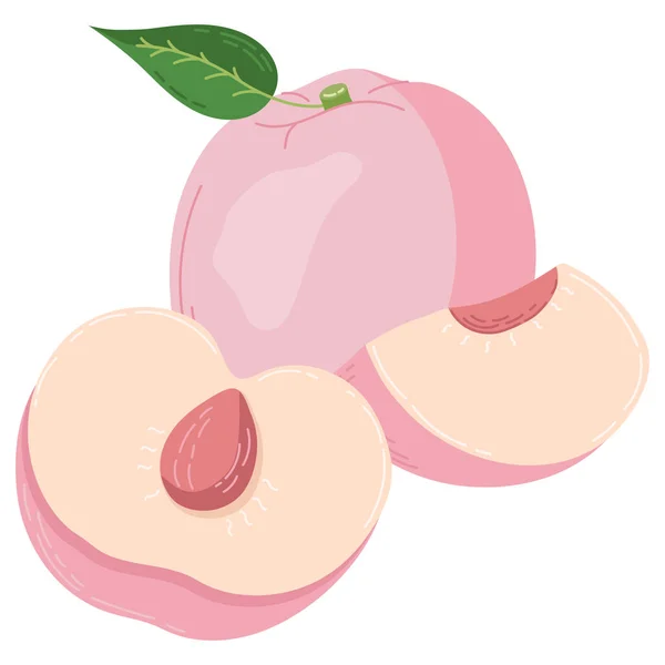 Een set perzikvruchten getekend in een vlakke stijl, plakjes en helften fruit, bladeren en botten. Een set stickers in pastelkleuren — Stockvector