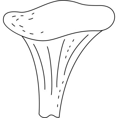 Meyve ve sebze çizgisi simgeleri. Moda tarzında bir sürü tabela. Ana hatlar tropikal yiyecek işaretleri.