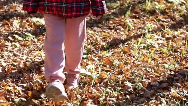 A little girl in pink pants and warm clothes walks in the park on a bright sunny day, walks on autumn leaves, scatters them, legs close-up. Movement towards — Stock Video