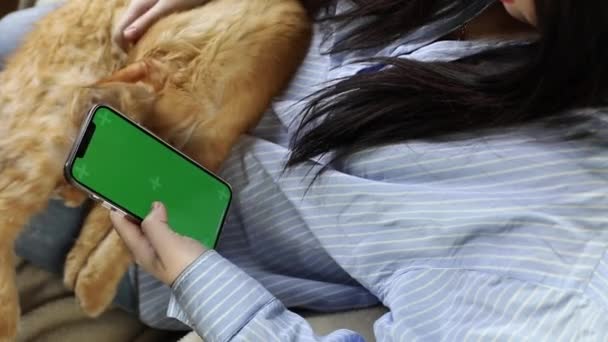 Young woman with long dark hair sits with a phone, smartphone with a green screen, swipes. A girl on her knees holds a ginger Maine Coon cat. Pet application concept, online zoo store — Stok Video