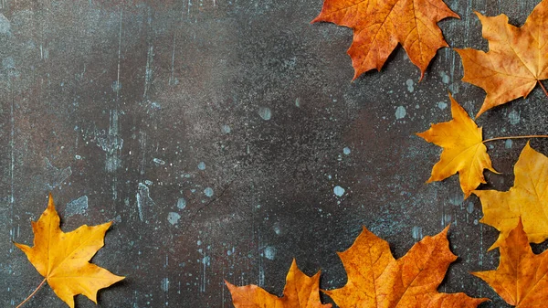 Fondo Otoñal Con Hojas Arce Otoño Sobre Superficie Metálica Oxidada Fotos de stock libres de derechos