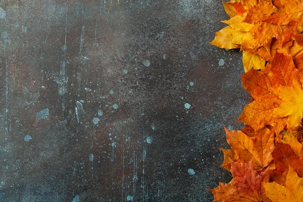 秋天的背景 秋天枫叶落在锈蚀的金属表面 图库图片