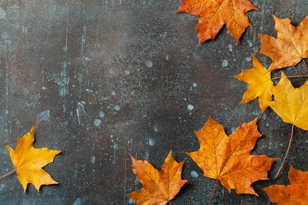 秋天的背景 秋天枫叶落在锈蚀的金属表面 图库图片