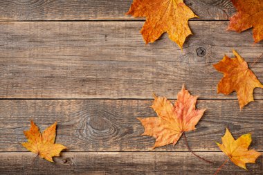 Ahşap zemin üzerinde sonbahar akçaağaç yaprakları ile arka plan