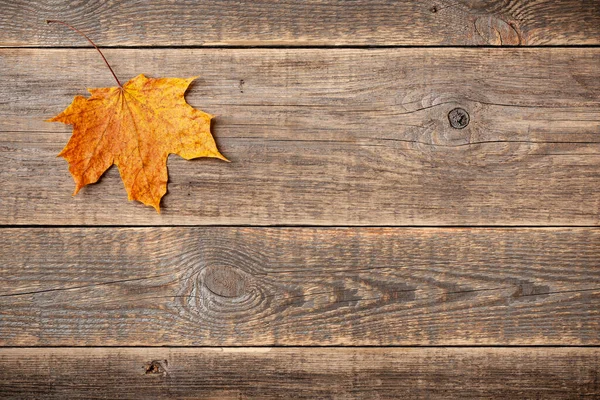 Autumn Background Fall Maple Leaf Wooden Background — Stock Photo, Image