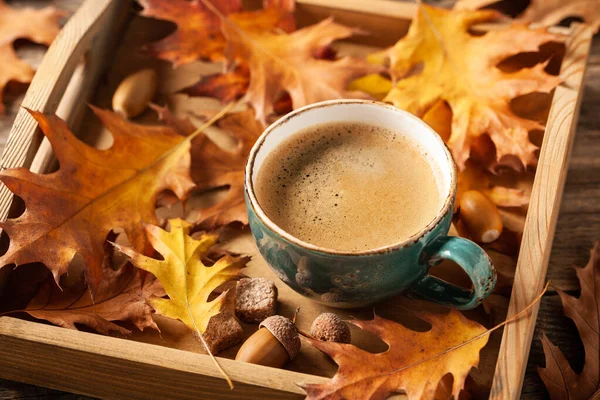 秋天的背景 一杯黑咖啡和秋天的装饰 免版税图库图片