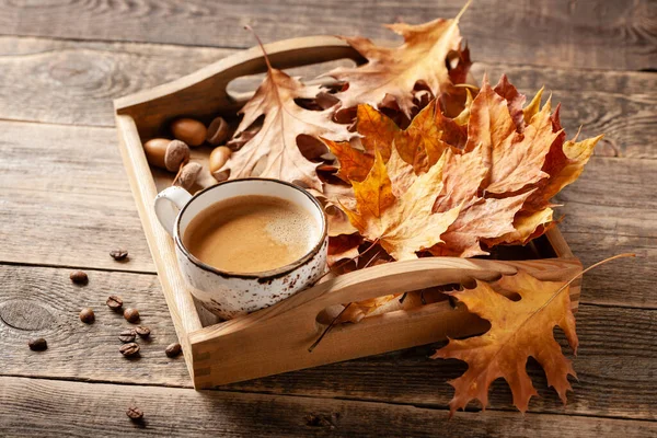 秋天的背景 一杯黑咖啡和秋天的装饰 图库照片