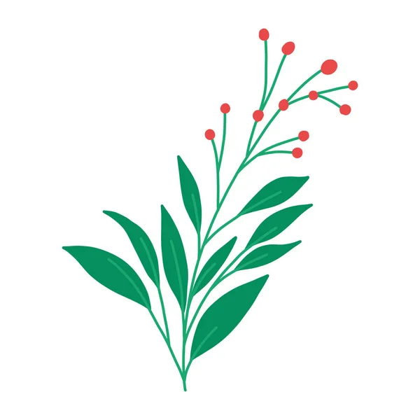 Elegant Winter Plant Berries Leaves Flat Vector Illustration Isolated White — Stock vektor