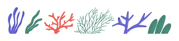 Set Seaweeds Coral Reef Elements Cartoon Flat Vector Illustration Isolated — Image vectorielle