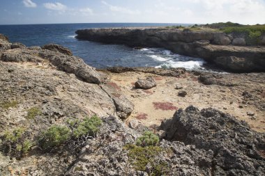 Kayalıklarda, kayalık kıyılarda ve okyanusta dalgalar kopuyor. Güzel sahil. Boka masası. Curacao
