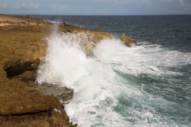 Kayalıklarda, kayalık kıyılarda ve okyanusta dalgalar kopuyor. Güzel sahil. Boka masası. Curacao