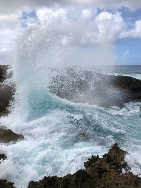 Kayalıklarda, kayalık kıyılarda ve okyanusta dalgalar kopuyor. Güzel sahil. Boka masası. Curacao