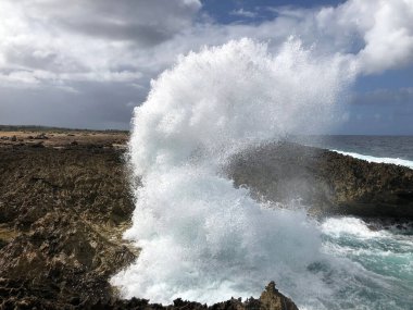 Kayalıklarda, kayalık kıyılarda ve okyanusta dalgalar kopuyor. Güzel sahil. Boka masası. Curacao