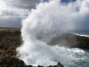 Kayalıklarda, kayalık kıyılarda ve okyanusta dalgalar kopuyor. Güzel sahil. Boka masası. Curacao