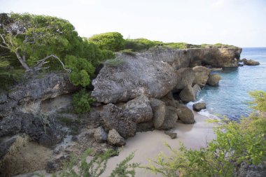 Kayalık kıyı şeridinin güzel manzarası 