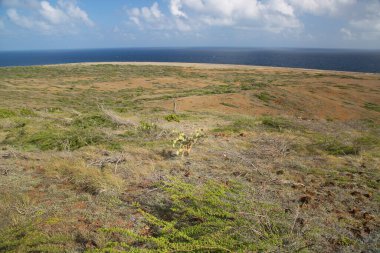 hermosa vista de la costa