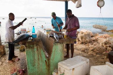 Deniz kıyısında çiğ balık temizleyen adamlar.