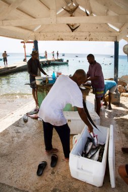 Deniz kıyısında çiğ balık temizleyen adamlar.