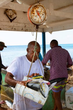 Deniz kıyısında çiğ balık temizleyen adamlar.
