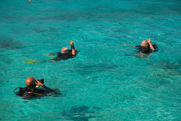 Groupe Plongée Apnée Touristique Pleine Mer — Photo