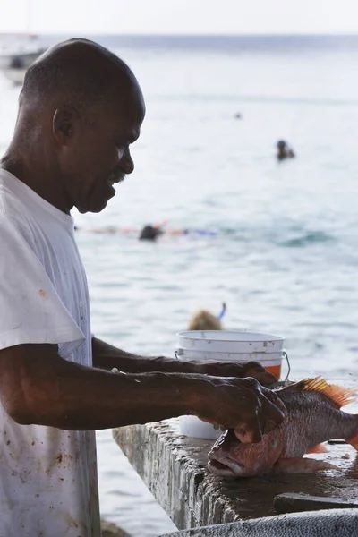 stock image man cleaning raw fish on seashore