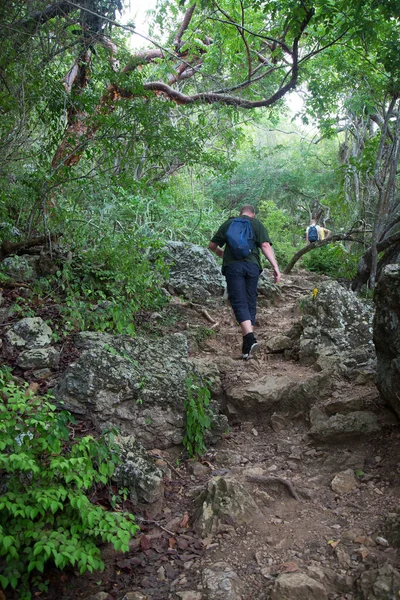 Tourists Enjoy Hiking Mountains — стоковое фото