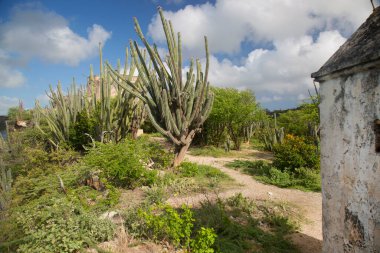 Doğa manzarası çok güzel.