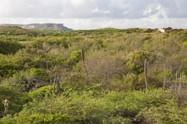 Doğa manzarası çok güzel.
