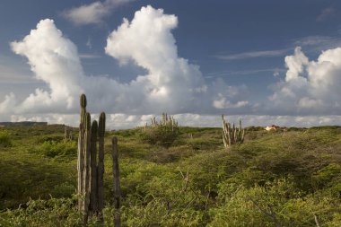 Doğa manzarası çok güzel.