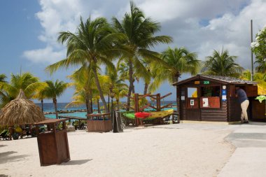 Palmiyeleri ve palmiyeleri olan tropik bir sahil.