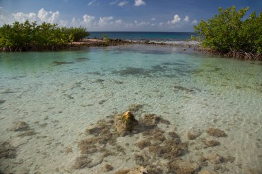Tropikal adanın güzel kayalık deniz kıyıları