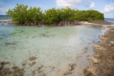 Tropikal adanın güzel kayalık deniz kıyıları