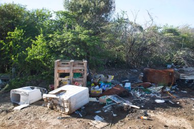 Curacao sahilindeki çöpler. Kirlilik kavramı