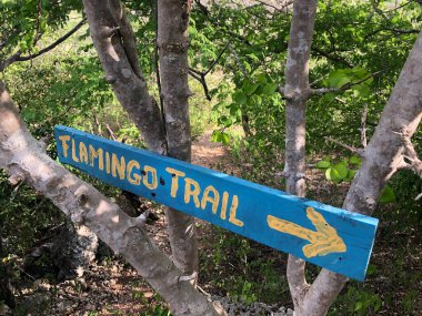 Dağlarda yol tabelası