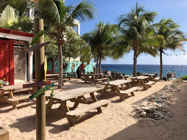 Mooi Strand Met Palmbomen Zee — Stockfoto