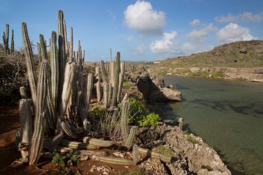 Doğanın güzel manzarası