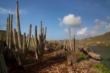 Doğanın güzel manzarası