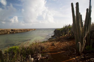 Doğanın güzel manzarası