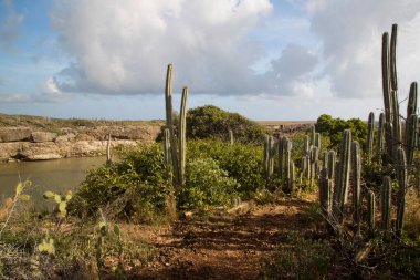 Doğanın güzel manzarası